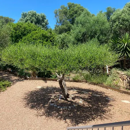 Vakantiehuis Largia Vecchio - A 5 Min Des Plages De Palombaggia - Calme- Climatisation Porto-Vecchio (Corsica)