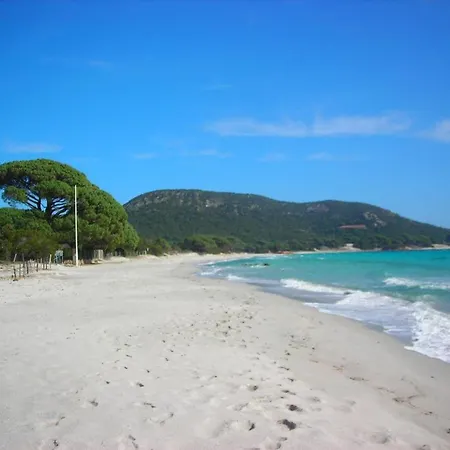 Largia Vecchio - A 5 Min Des Plages De Palombaggia - Calme- Climatisation פורטו-וישיו