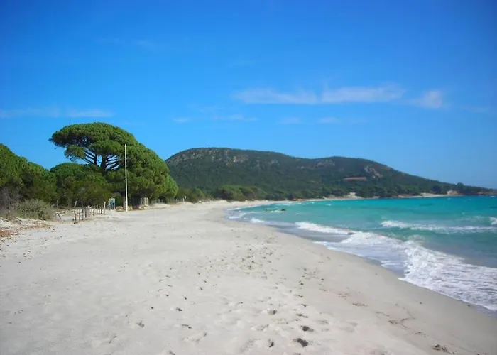 Largia Vecchio - A 5 Min Des Plages De Palombaggia - Calme- Climatisation 维琪奥港