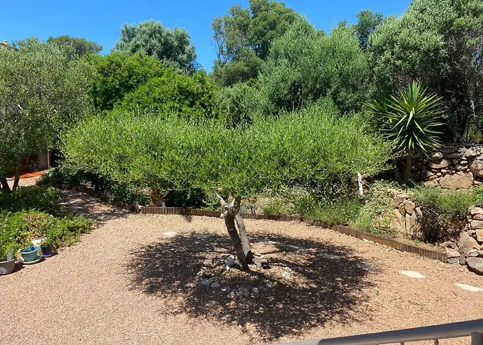 Semesterbostad Largia Vecchio - A 5 Min Des Plages De Palombaggia - Calme- Climatisation Porto-Vecchio (Corsica)